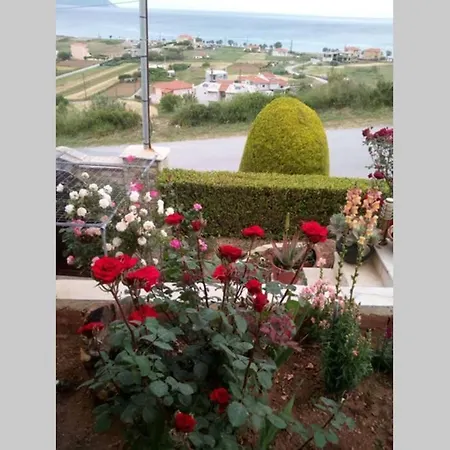 Roses-mourteri *