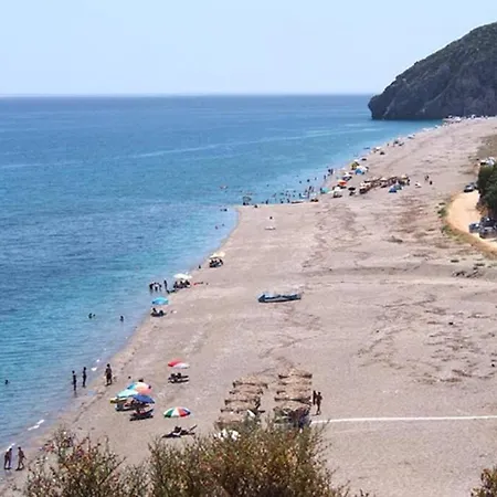 Roses-mourteri * Муртери